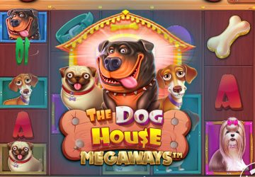 Игра The Dog House Megaways в Spinamba казино